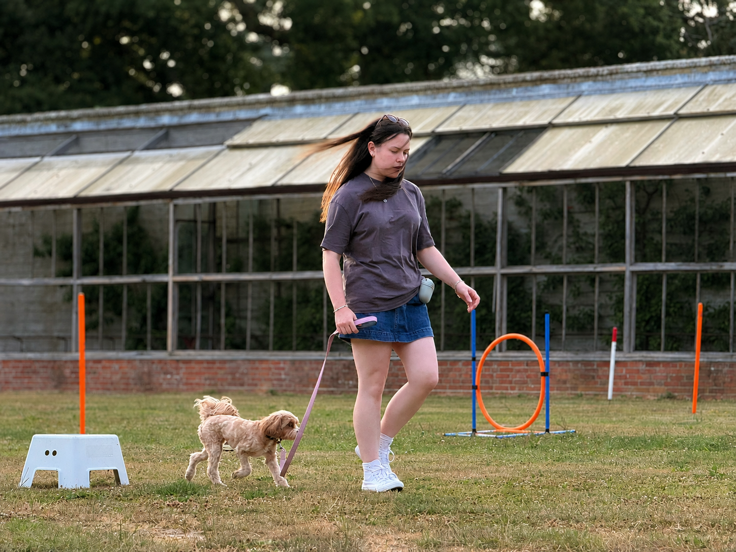 Trusty Tails dog walker with a dog on a countryside path